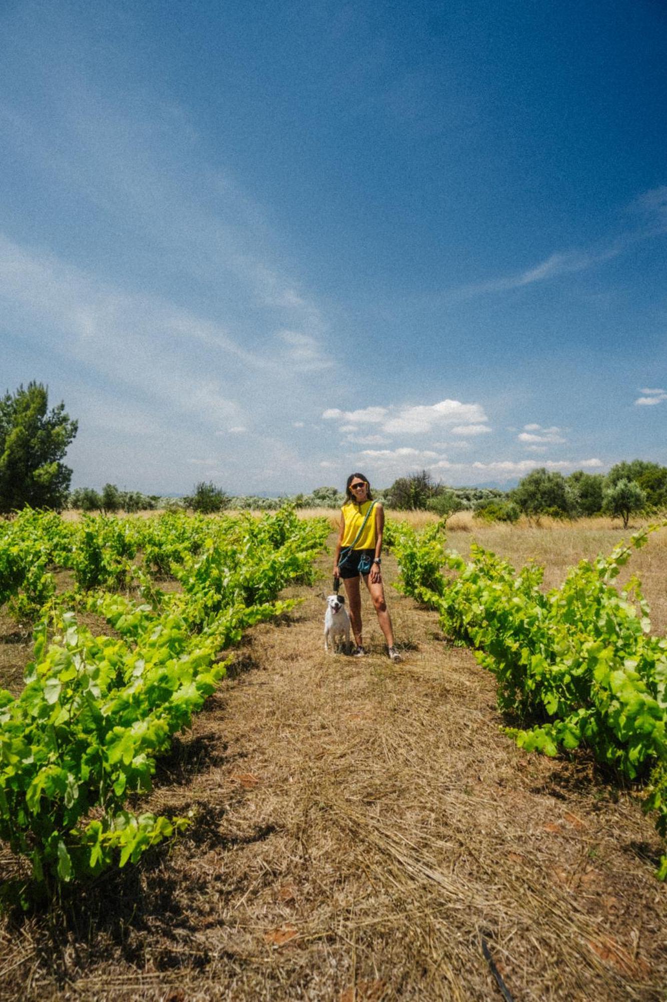 Goúvai Eumelia Organic Agrotourism Farm酒店 外观 照片