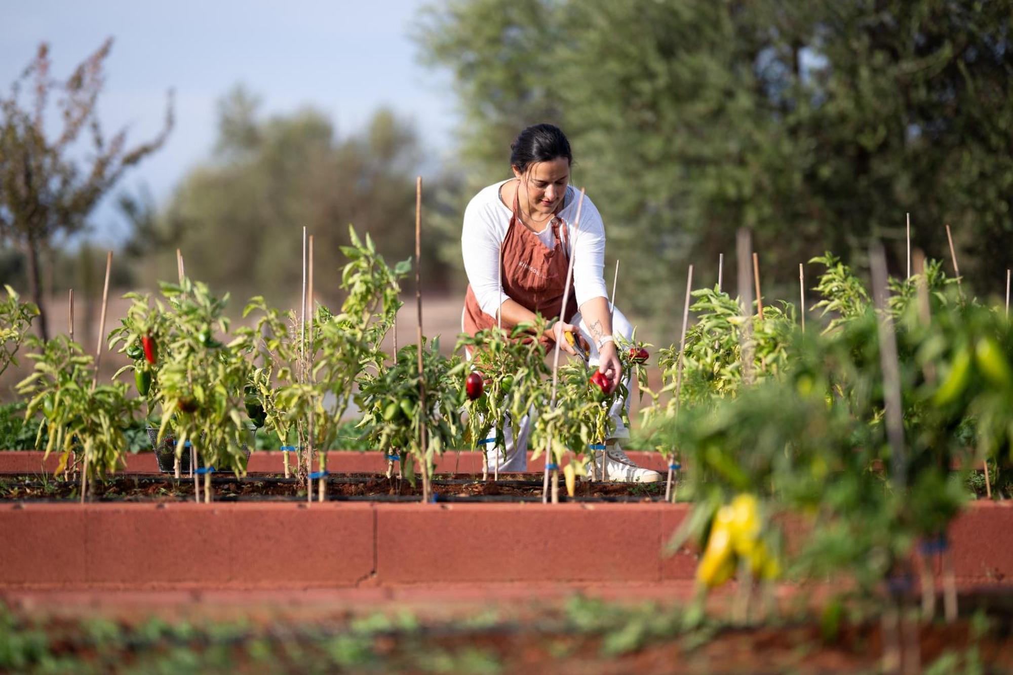 Goúvai Eumelia Organic Agrotourism Farm酒店 外观 照片